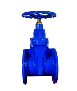 China Flanged Gate Valve DN150 Resilient Seated Sluice Valve BS4504 BS5163 on sale