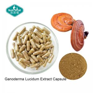  Ganoderma Lucidum Reishi Mushroom Capsules with Vegetarian Capsule for Healthy Heart Manufactures