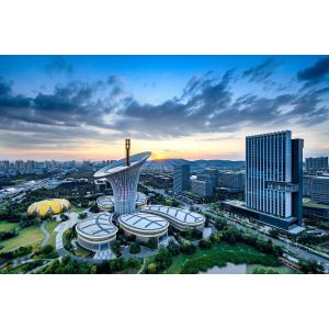 Wuhan Homsh Technology Co.,Ltd.