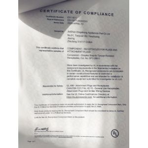 Jiashan Dingsheng Electric Co.,Ltd. Certifications