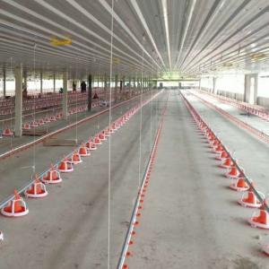  Electrical Environmentally Controlled Poultry House Manufactures