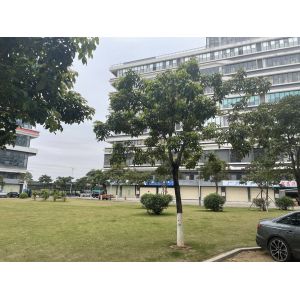 Guangdong Testi Auto Parts Trading Co., Ltd.