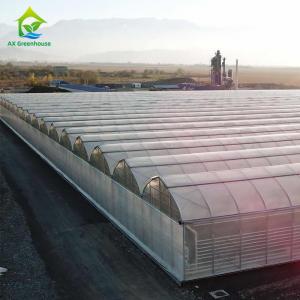  Multispan 4 Season Plastic Film Insect Net Greenhouse For Cucumbers Manufactures