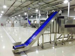                   Low Cost Food Bag Transfer Inclined Vertical Belt Conveyor Price for Food Packing Line              Manufactures