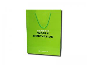  Green Colors Custom Printing Paper Bags With Recycled Paper Bag OPP Rope Handle Manufactures