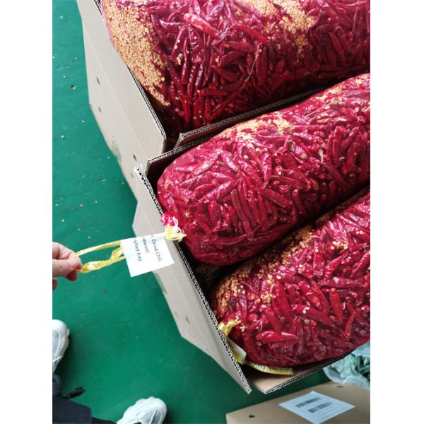 No Pigment Erjingtiao Dried Chilis 16CM Red Stemmed Dehydrating 8000SHU