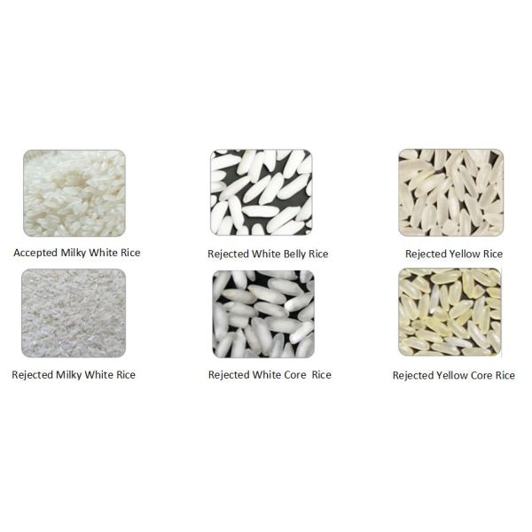 Coreprogram 12 Chutes RGB Color Sorter High Capacity Rice Sorting Machine