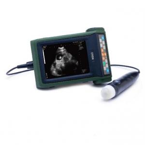  B Mode Veterinary Ultrasound Scanner Sow Pregnancy Testing Manufactures