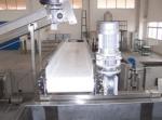 Low Noise Commercial Food Processing Equipment , Ginger Processing Machine Power