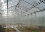 Single Span Polycarbonate PC Sheet Greenhouse With Shading System