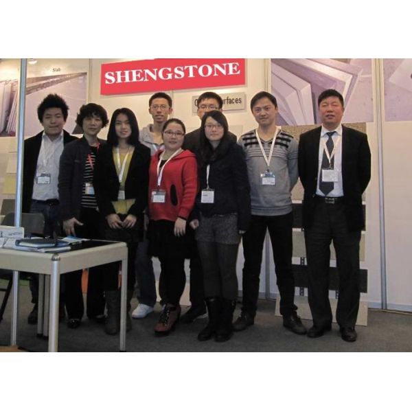 shengstone international limited