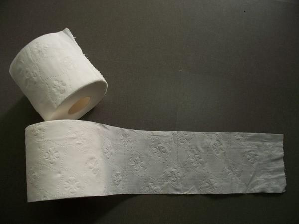 Quality embossed 2ply Toilet Tissue roll, bath tissue, toilet paper for sale