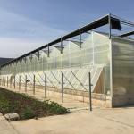 4m Section Polycarbonate Greenhouse for Vegetable Fruits and Flowers Commercial Grade