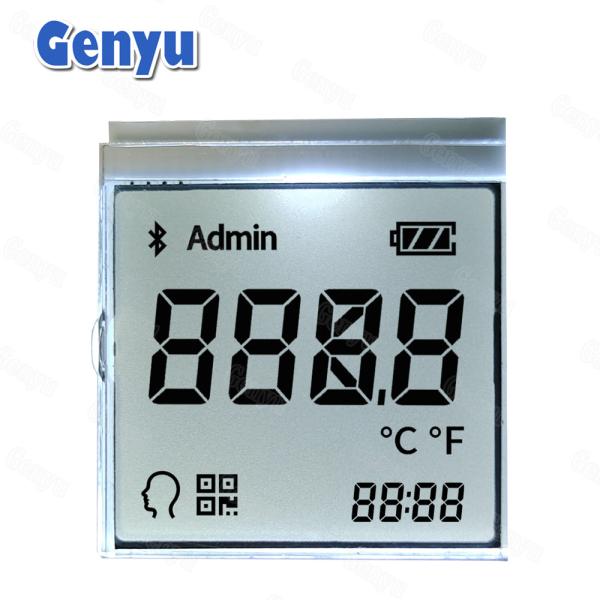 Custom Segment LCD Display Transflective RGB Color Backlight For Forehead
