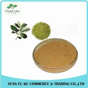  Best Selling Natural Yerba Mate Extract Polyphenol Tannin acid Manufactures