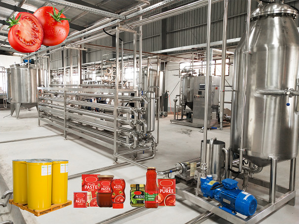 High Temperature Resistance Tomato Processing Line with Customized Capacity and