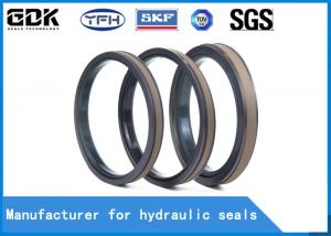 China Wear Resistance SPGW Double Acting Piston Seal , SPGW PTFE Piston Seal on sale