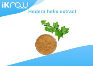  Prevent Skin Aging Natural Herbal Ivy Leaf Extract / Hedera Helix Extract Manufactures