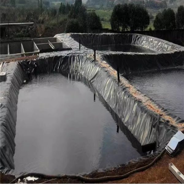 Modern Style Fish Pond Liner HDPE Geomembranes for and Project Solution Capability