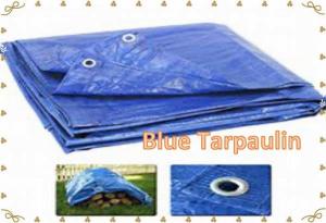 China Blue Tarpaulin Blue PE Tarp  Blue Tarp Cover   Economy Blue Poly  Tarp on sale