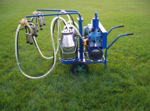  Stainless Steel Electric Dairy Cow Milking Machine 220V Manufactures