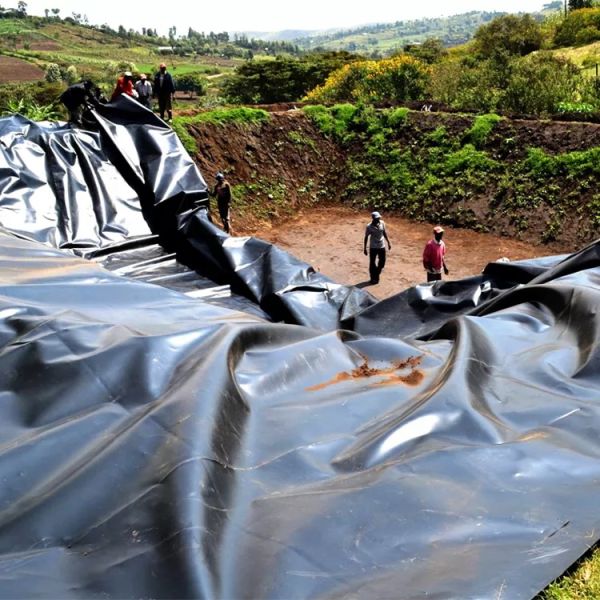 Double Smooth Surface Black HDPE Geomembrane for Fish Shrimp Farming Pond Dam Liner
