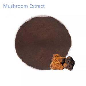  30% 60% Organic Chaga Mushroom Extract Health Food Use Manufactures