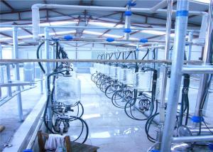  Large Scale Milking Parlor Equipment , Cows Parallel Milking Parlor Manufactures