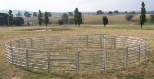  Livestock Panels 6 Oval Bar Low Hog Wire Fencing Cattle Galvanized Livestock Fence Panels Manufactures