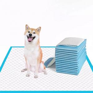  Blue 5-Layer Disposable Pet Training Pad for Small/Medium/Large Dogs Super Absorbent Manufactures