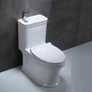  Ceramic Bathroom Toilet Bowl , 700x385x745mm One Piece Toilet Sink Combo Manufactures