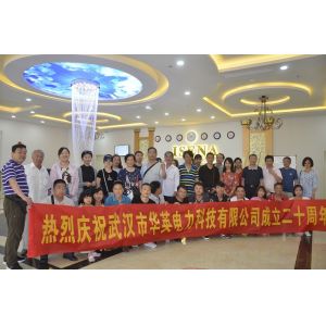 Wuhan Huaying Electric Power Tech & Science Co., Ltd