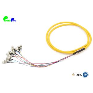  Pre-terminated Fanout FC Fiber Optic Pigtail 12F 12 Color 9 / 125 μm OS2 G657A1 fanout 0.9mm tail LSZH Yellow Manufactures