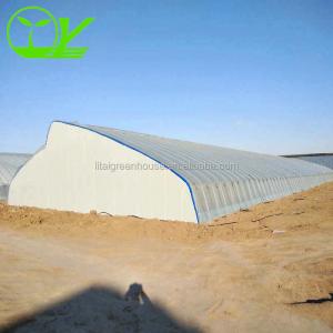 China Budget-Friendly Agricultural Plastic Film Greenhouse for Vegetable Fruits Flowers on sale