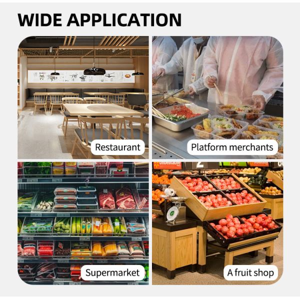 Customized Logo Printed Cornstarch Tableware Including Plates Bowls Tray