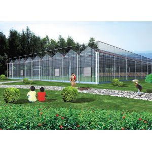 Buy cheap Sturdy Structure, Adjustable Climate VENLO Glass Greenhouses For Strawberry & from wholesalers