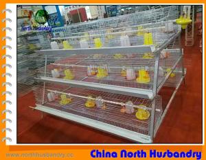  Poultry Cage Manufacturers in India, Poultry Cage Suppliers, Indian Manufactures