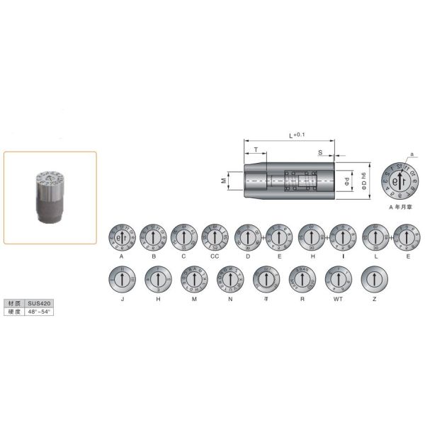 Injection Mold SUS420 Mould Date Indicator Long Type Replaceable Core Mold Date Inserts
