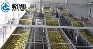 China 1-100ton Automatic Fruit Juice Processing Line Apple Juice 20000lph Beverage Processing Line on sale
