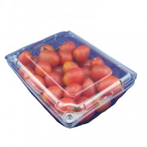 China Eco Friendly Disposable PET Fruit Plastic Packaging Boxes OEM on sale