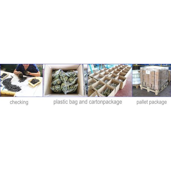 carbon steel banjo hydraulic pipe fitting