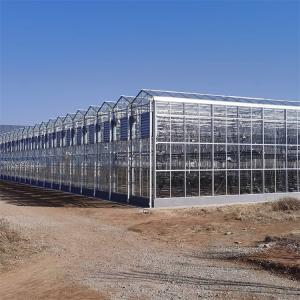 China Insulated Tempered Glass Greenhouse Sunlight Venlo Greenhouse For Horticulture on sale