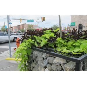 China 3.0-6.0mm Galvanized Welded Gabion Box 50x50mm Silver Stone Cage on sale