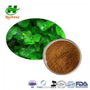  IVY Leaf Extract/Hedera Helix Extract/IVY Leaf Powder/10% Hederacosides/10% Hederacosides Manufactures