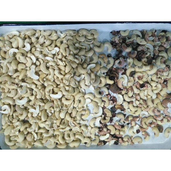 CCD Cashew Nut Size Sorting Machine 99.9% Accuracy