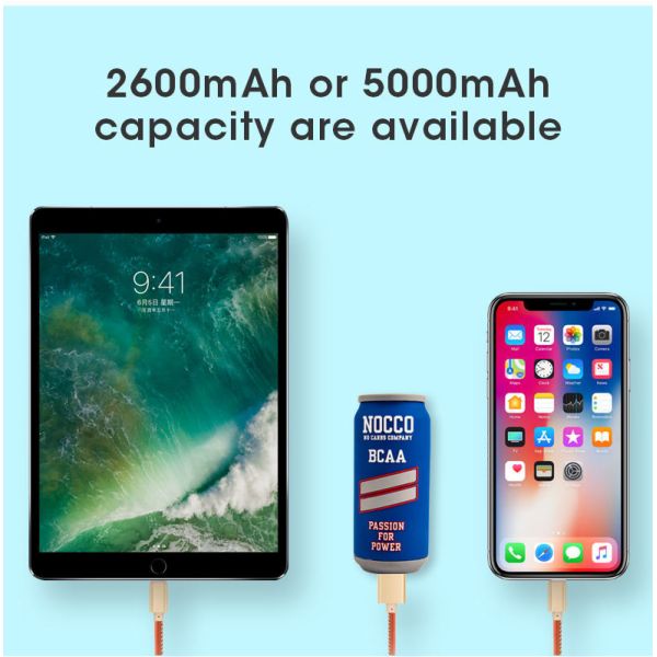 Customized PVC Power Bank with High Quality and Real Capacity Battery